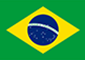 브라질 국기
